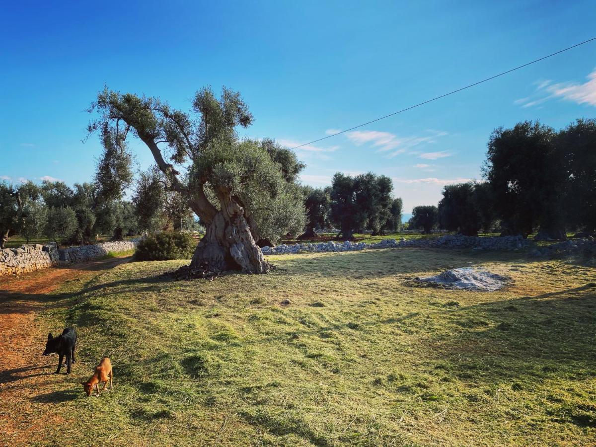 La Guendalina Masseria E Casa Particular Bed & Breakfast Monopoli Exterior photo