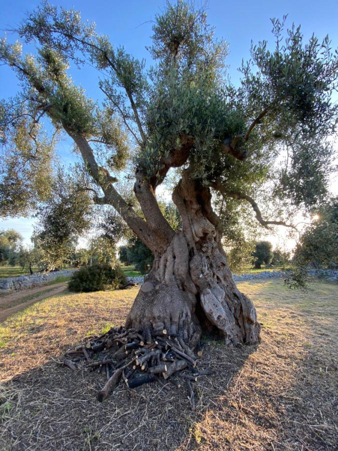 La Guendalina Masseria E Casa Particular Bed & Breakfast Monopoli Exterior photo