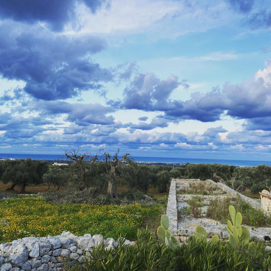 La Guendalina Masseria E Casa Particular Bed & Breakfast Monopoli Exterior photo