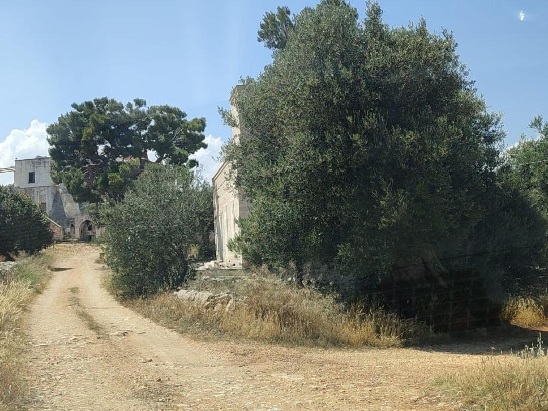 La Guendalina Masseria E Casa Particular Bed & Breakfast Monopoli Exterior photo